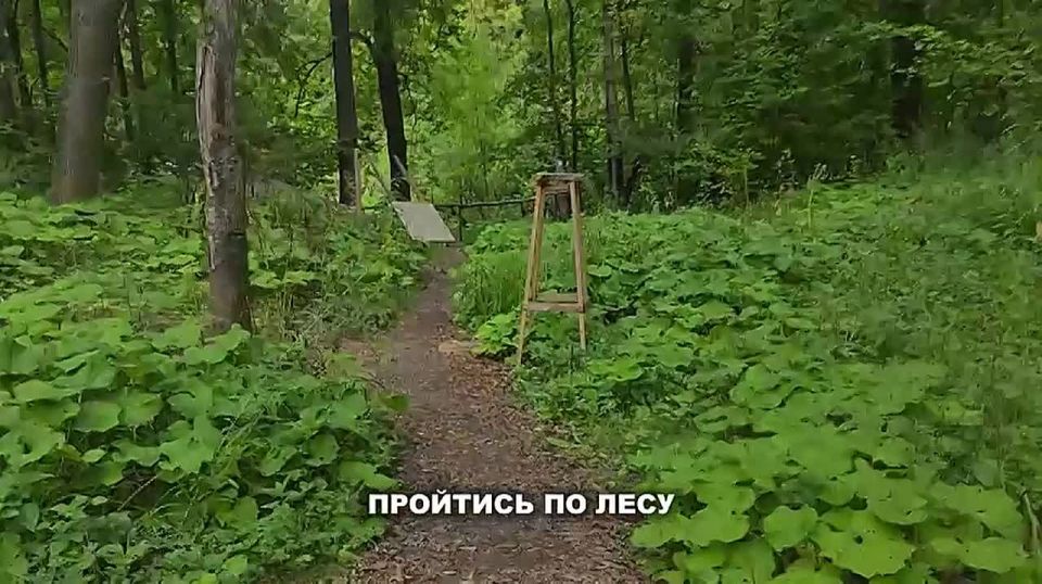 Новый выпуск моего авторского проекта «Макс Лайф»