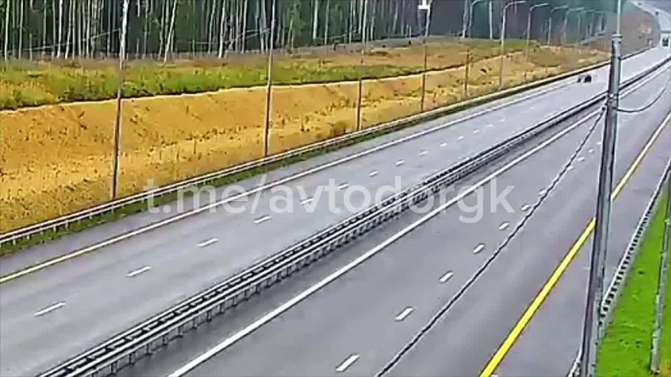 Сонливость за рулем — это не усталость, которую можно перебить кофе или энергетиком