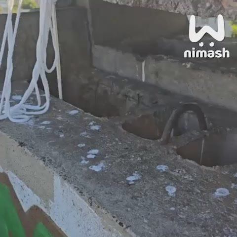 Домашний кот провалился в вентиляционную шахту девятиэтажки на Подворной в Нижнем