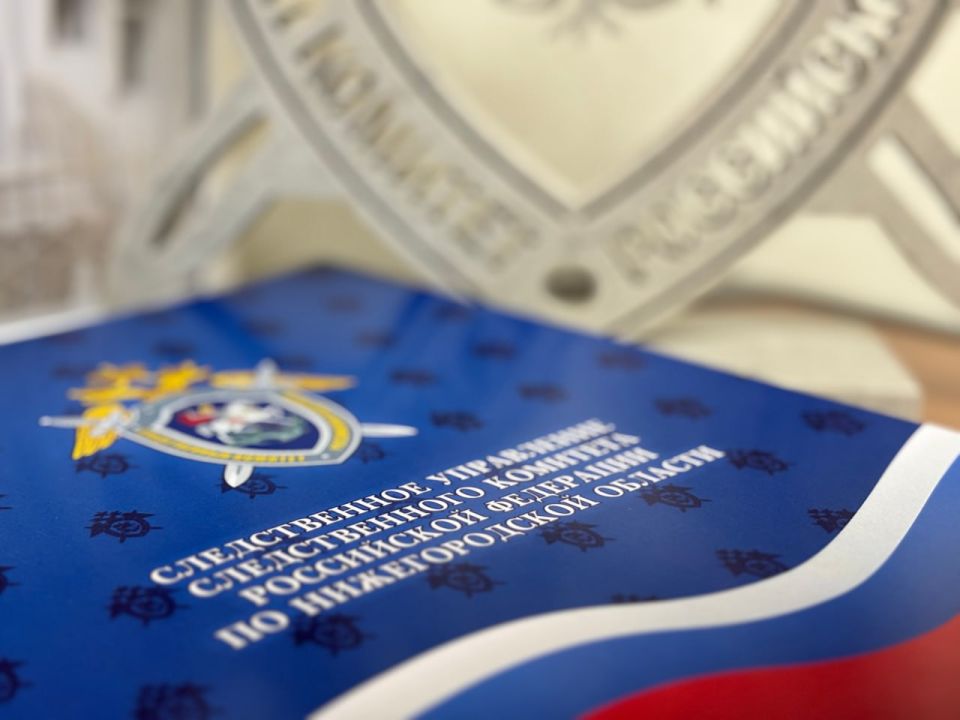 В Нижнем Новгороде по информации из соцмедиа о незаконной продаже алкогольной продукции возбуждено уголовное дело