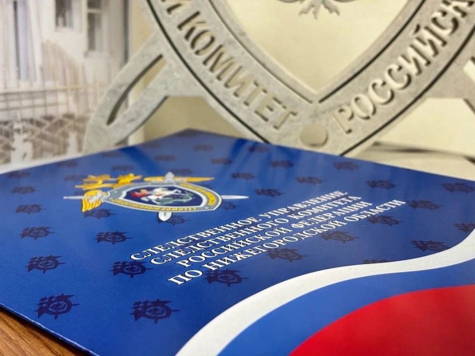 В Нижнем Новгороде женщина признана виновной в контрабанде и незаконном обороте сильнодействующих веществ