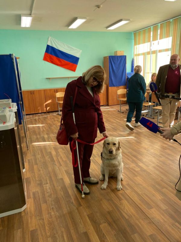 На избирательном участке в Нижнем Новгороде голосует инвалид по зрению со своей помощницей - собакой-поводырем