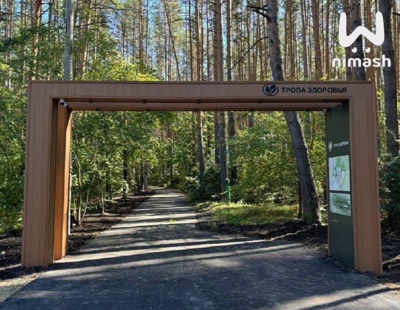Тропу здоровья в Сарове украсили новым входом с картой