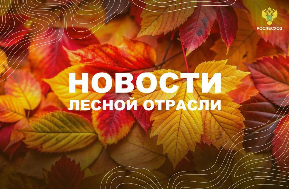 В городе N: Новую технику получили нижегородские лесники
