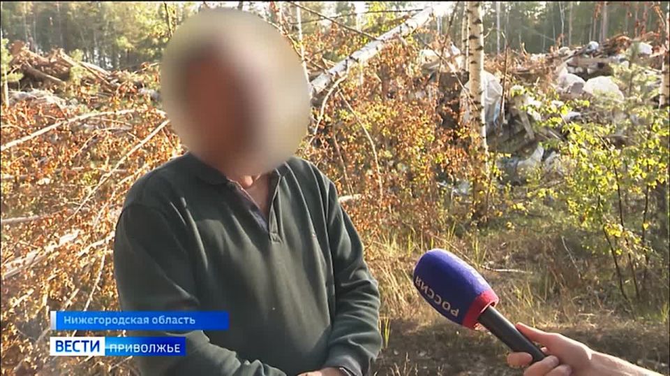 Почти 4 метра строительного мусора в высоту: несанкционированная свалка вновь начала расти в лесу прямо на границе с Нижним Новгородом - на выезде на трассу М7 со стороны улицы Федосеенко