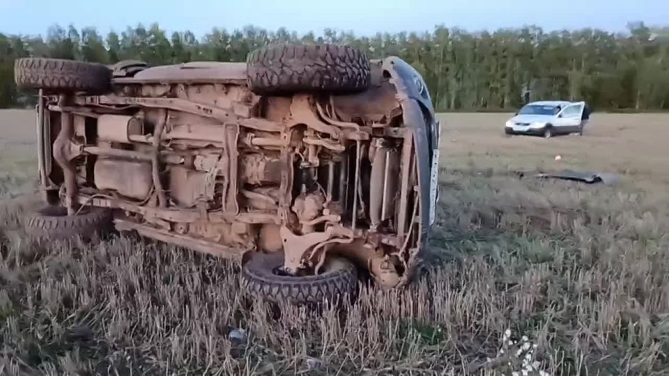 Мужчина погиб в Вадском округе, перевернувшись на машине в поле