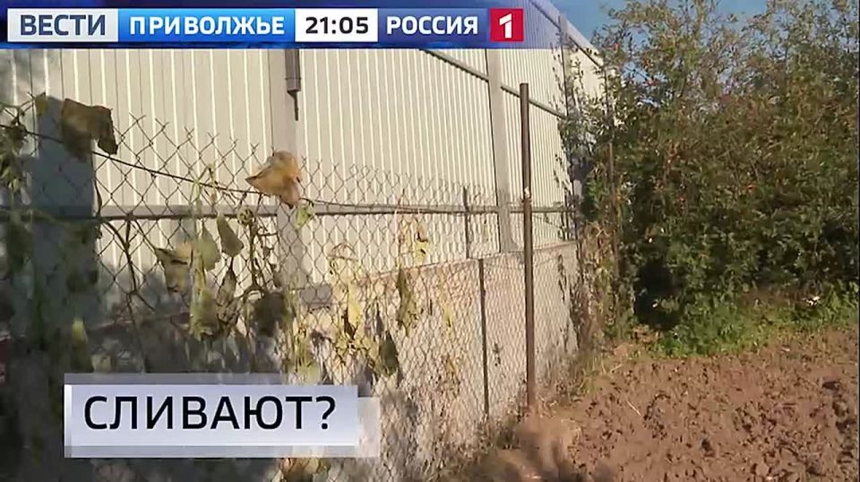 Сегодня в 21:05 на канале11111