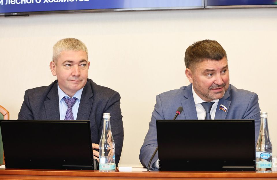 Применение дронов для обнаружения лесных пожаров и последствий стихии обсудили на комитете по экологии