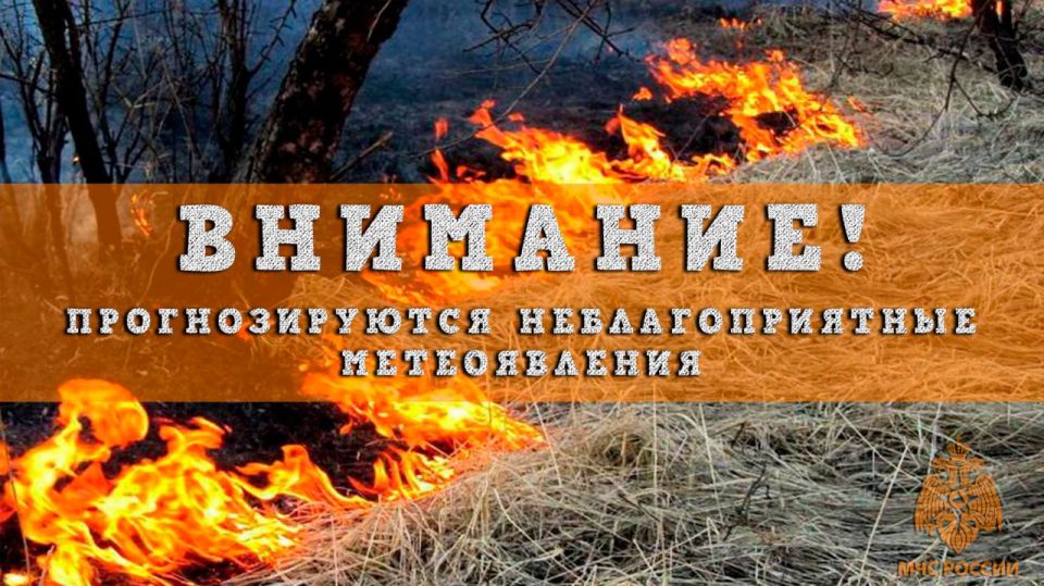 Ожидается высокая (4 класс) пожароопасность лесов и торфяников местами по Нижегородской области в период с 18 по 22 сентября!