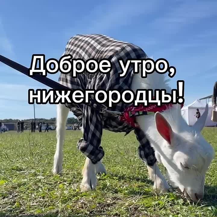 Доброе утро, нижегородцы!. Сегодня в Нижнем температура воздуха: утром +14, ясно, днем...+22...ясно, вечером....+16, облачно