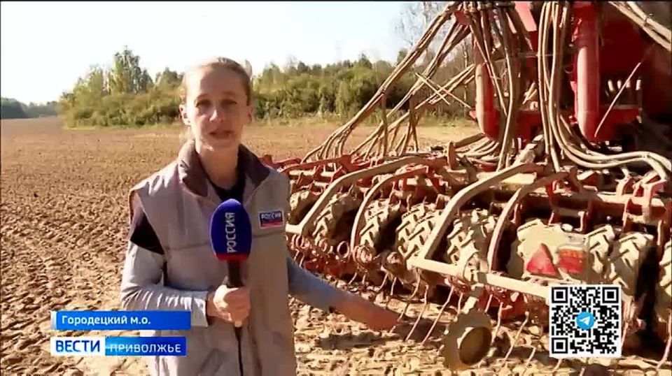 Все надежды на сентябрь. Дождливая погода в августе задержала сев озимых культур на территории Нижегородской области