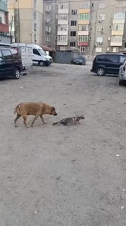 Уже отправились на охоту за новостями для вас