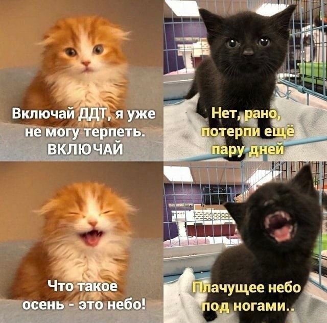 Кажется, в эти выходные сидим дома – дожди придут в Нижний Новгород