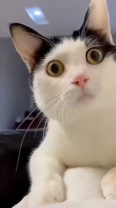 Что это за окном? Ах да, это же наступили долгожданные выходные!