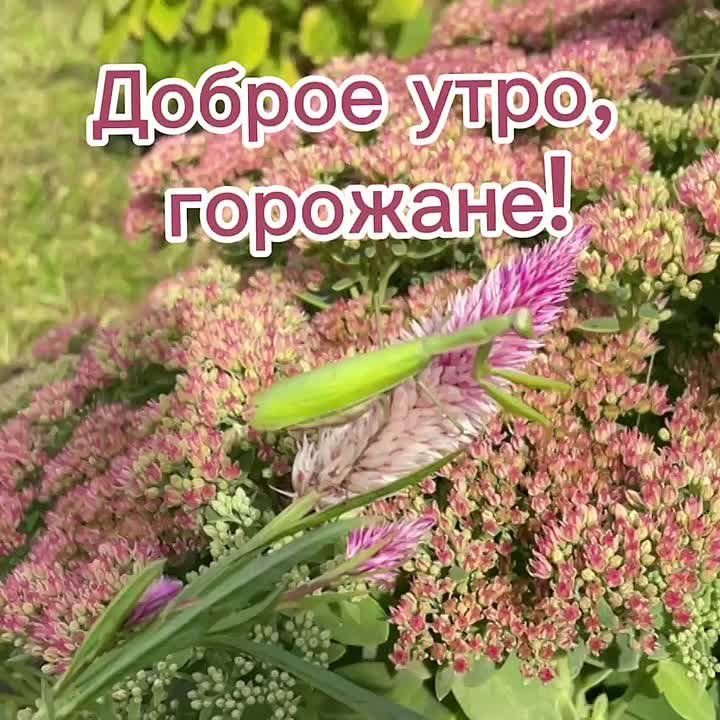 Доброе утро, нижегородцы!. Сегодня в Нижнем температура воздуха: утром +13, облачно, днем...+16...облачно, вечером....+14, пасмурно