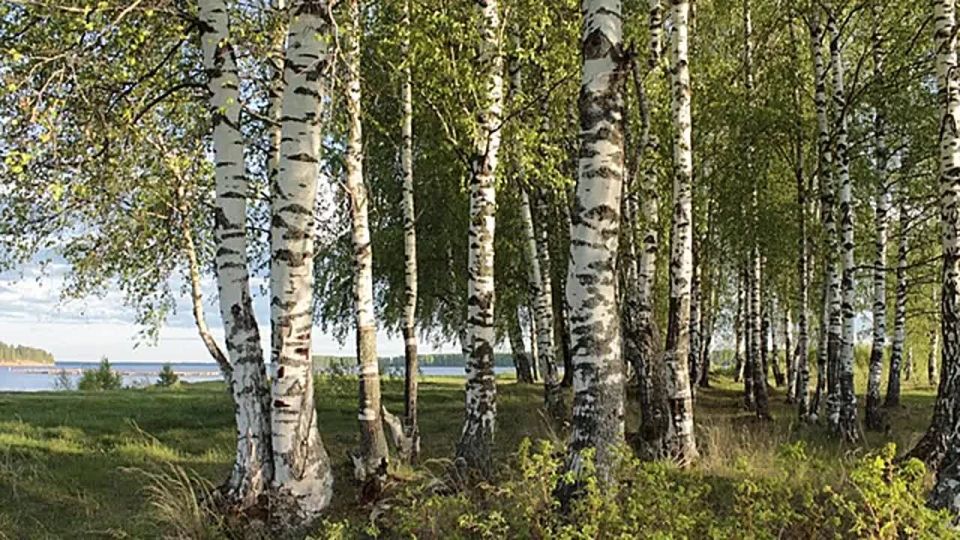 21 сентября празднуется День зарождения русской государственности и Всемирный день русского единения