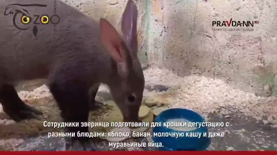 Доброго утра, друзья! Вкусно позавтракали?