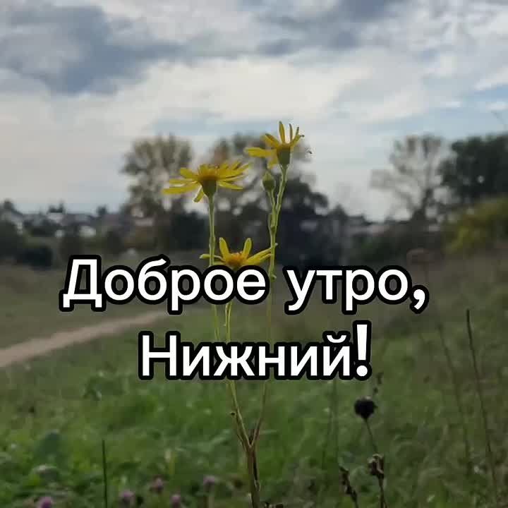 Доброе утро, нижегородцы!. Сегодня в Нижнем температура воздуха: утром +13, облачно, днем...+19...облачно, вечером....+17, пасмурно