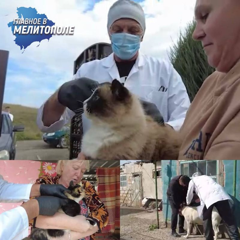 #* Подборка интересных новостей из регионов к этому часу: