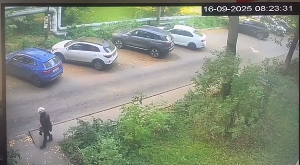 80-летняя нижегородка ушла за грибами и трое суток блуждала по лесу