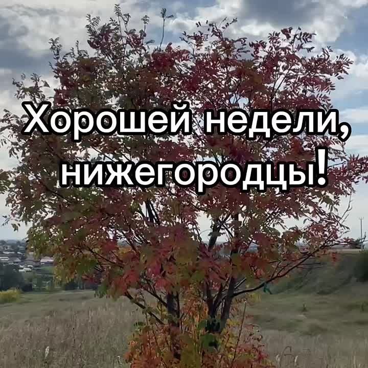 Доброе утро, нижегородцы!. Сегодня в Нижнем температура воздуха: утром +17, облачно, днем...+24...ясно, вечером....+22, облачно