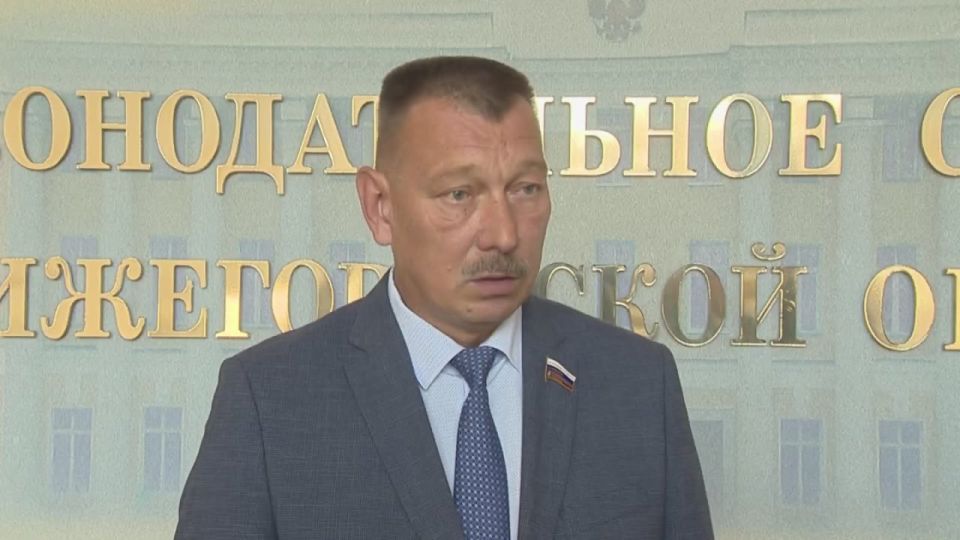 Медаль «За поддержку СВО» может появиться в Нижегородской области