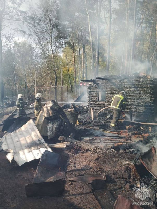 Мужчина погиб в пожаре в нижегородском СНТ