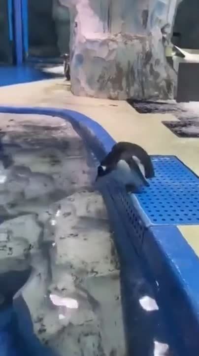 Уже спешим на работу, ведь новости не ждут