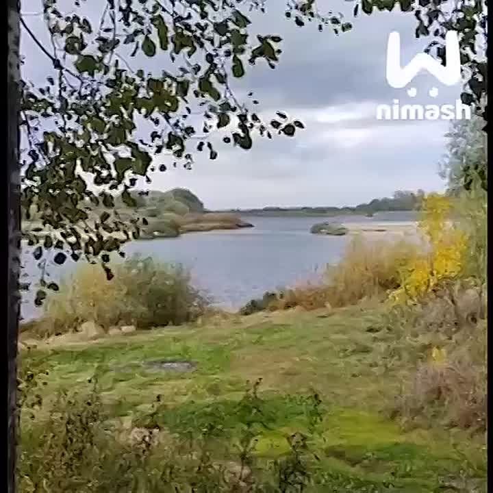 Дамы, если есть желание посмотреть на кучу голых мужских торсов, то вам в Бор