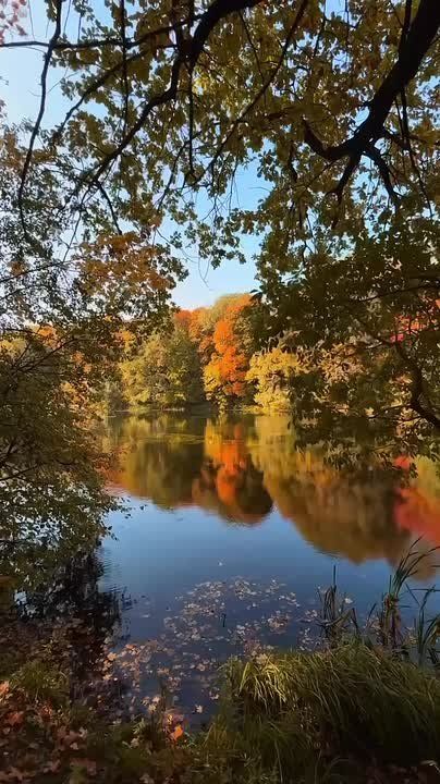 Осенний пейзаж на Щелоковском хуторе