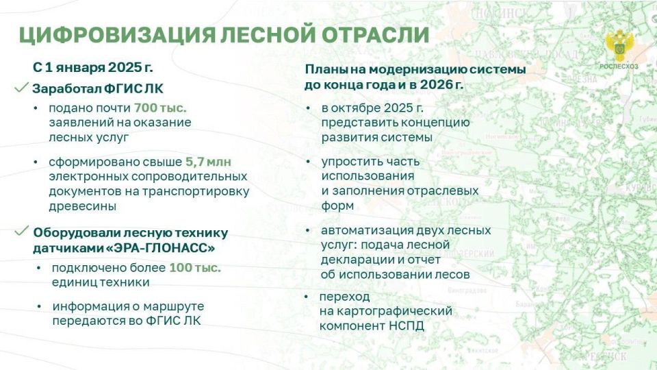 На протяжении четырех лет в России лесов восстанавливается больше, чем вырубается и погибает