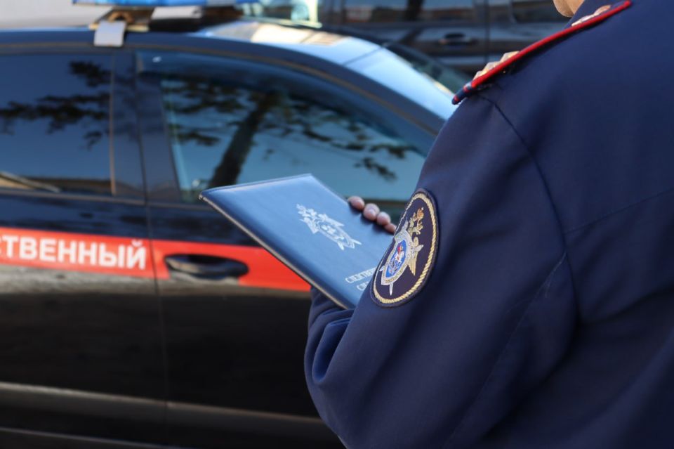 В Борском районе по факту избиения несовершеннолетних возбуждено уголовное дело