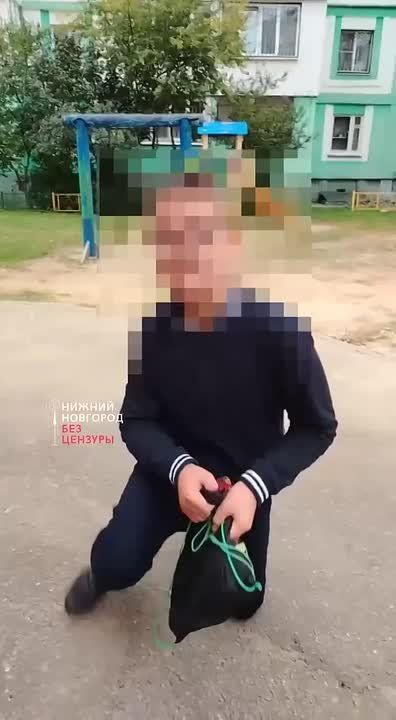 Новый скандал в нижегородской школе №117