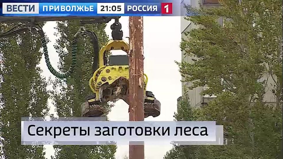 Сегодня в 21:05 на канале11111