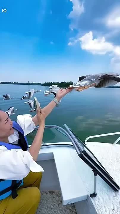 Уже летим в новый день. Просыпайтесь и отправляйтесь с нами! Доброе утро! Прислать новость Главные новости региона: Telegram | MAX