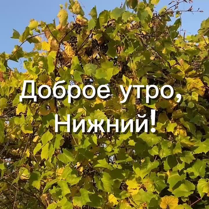 Доброе утро, нижегородцы!. Сегодня в Нижнем температура воздуха: утром +11, облачно, днем...+14...пасмурно, вечером....+9, облачно