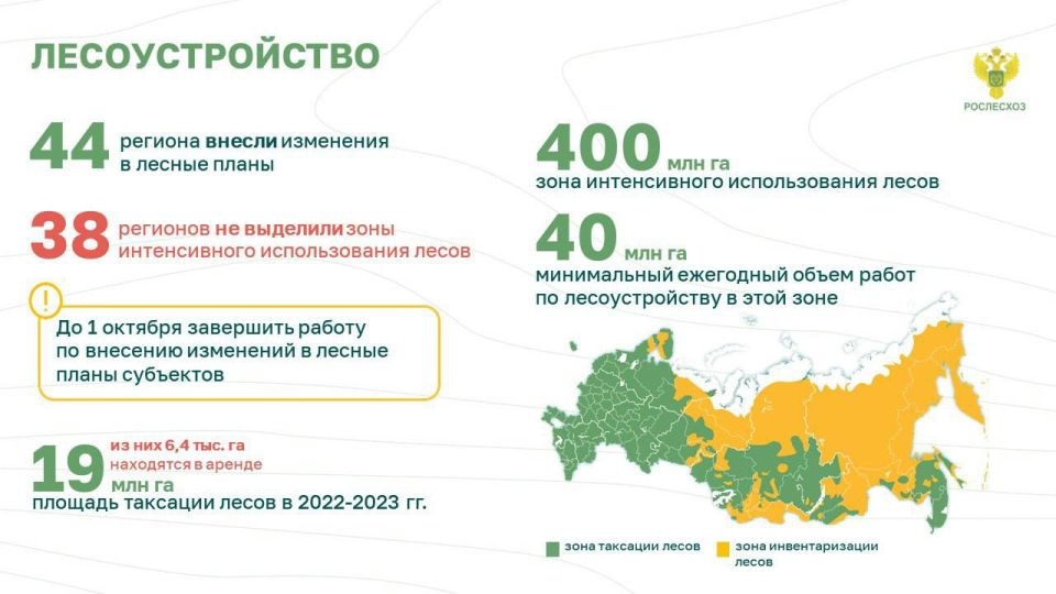 На протяжении четырех лет в России лесов восстанавливается больше, чем вырубается и погибает