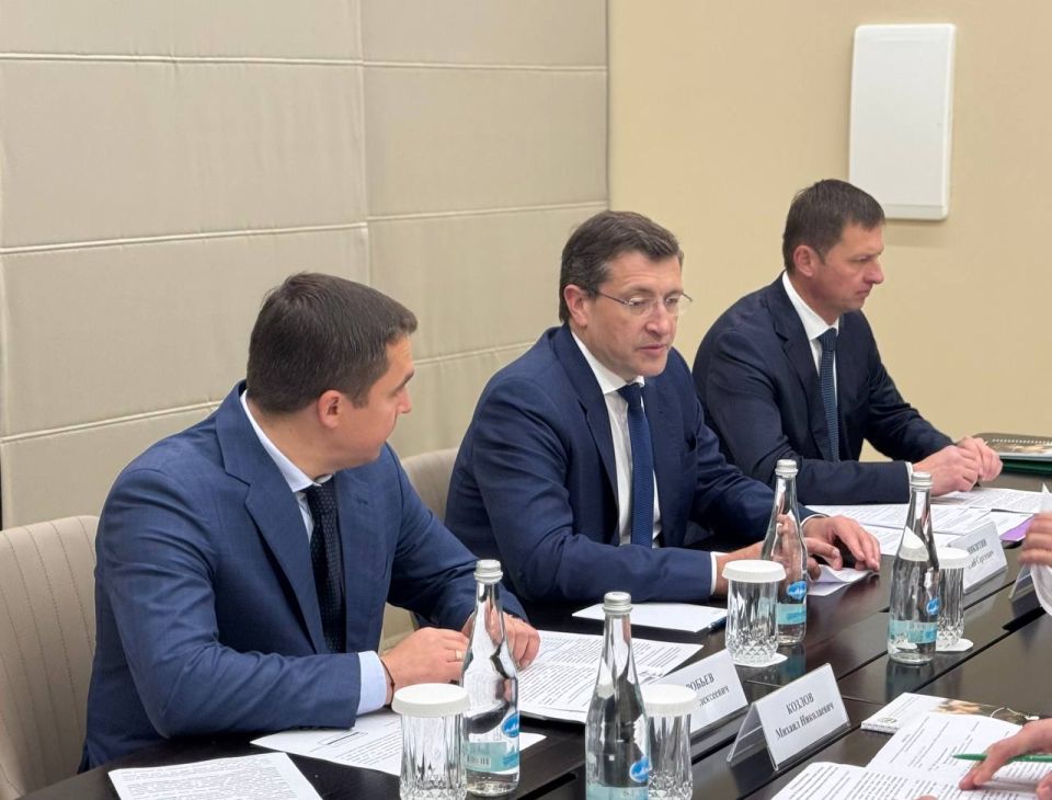 Глава Рослесхоза Иван Советников встретился с губернатором Нижегородской области Глебом Никитиным