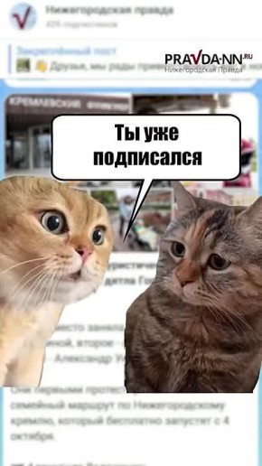 Ещё не подписаны на «Нижегородскую правду» в MAX?!