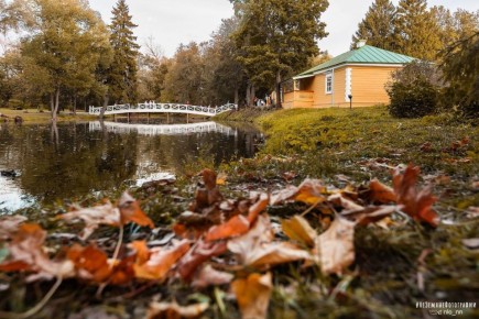 Настоящая осенняя погода в Нижегородском регионе