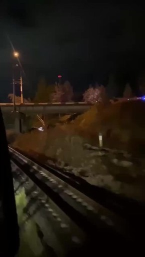 Автомобиль с пассажирами сорвался с ж/д моста в Выксе — есть погибший