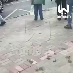 Двух детей и одного взрослого увезли в больницу после массовой аварии на проспекте Ленина