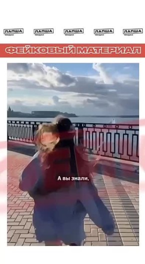 Серые киты в Нижнем Новгороде?