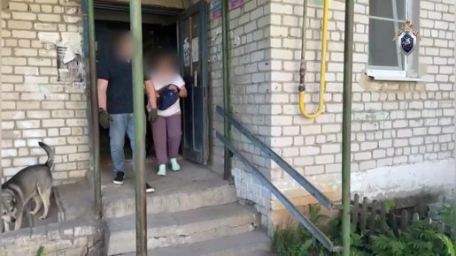 В Нижегородской области местная жительница, обвиняемая в предоставлении средств, предназначенных для обеспечения деятельности нежелательных организаций, предстала перед судом