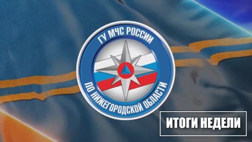 ИТОГИ НЕДЕЛИ. За минувшую неделю на территории Нижегородской области зарегистрировано 65 пожаров