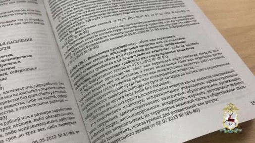 Кстовчанин, задержанный в Нижнем Новгороде с наркотиками, заключен под стражу