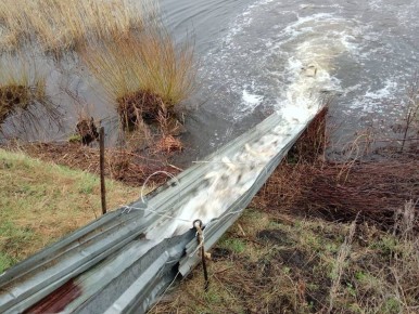 Осенний этап зарыбления водных объектов начался в Нижегородской области