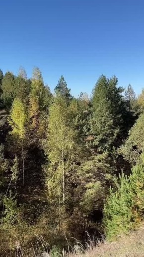 Золотая осень и Девичьи именины С праздником Веры, Надежды, Любви и матери их -Софьи! ...
