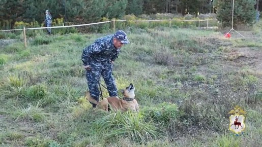 В Нижегородской области стартовал Чемпионат МВД России по многоборью кинологов
