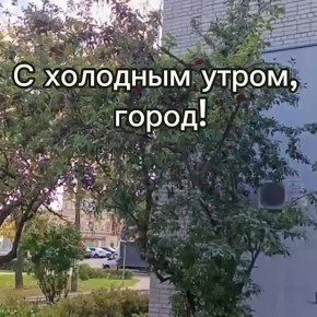 Сегодня в Нижнем температура воздуха: утром +5, ясно, днем...+12...облачно, вечером....+8, облачно